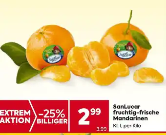 Billa fruchtig-frische Mandarinen Angebot