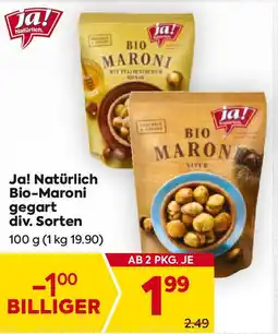 Billa Bio-Maroni gegart Angebot