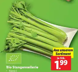 Lidl Bio Stangensellerie Angebot