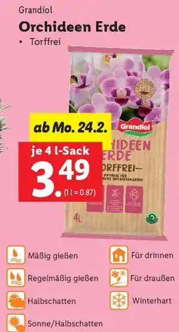 Lidl Orchideen Erde Angebot