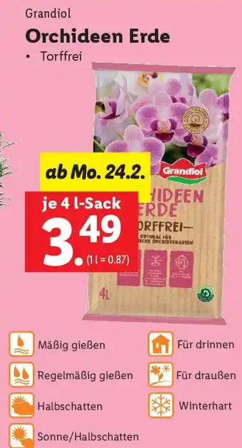 Lidl Orchideen Erde Angebot