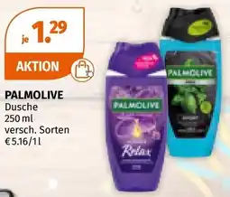 Müller PALMOLIVE Dusche Angebot