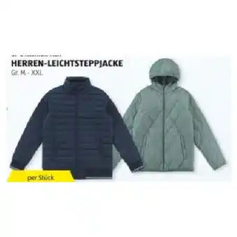 Hofer Herren-Leichtsteppjacke HOFER Angebot