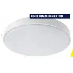 Hofer CCT-Deckenleuchte Remote HOFER Angebot