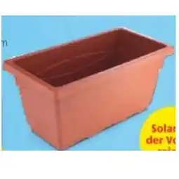 Hofer Pflanzkasten HOFER Angebot