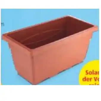 Hofer Pflanzkasten HOFER Angebot