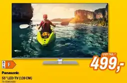 Expert 55" led-tv Angebot