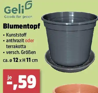 Thomas Philipps Blumentopf Angebot