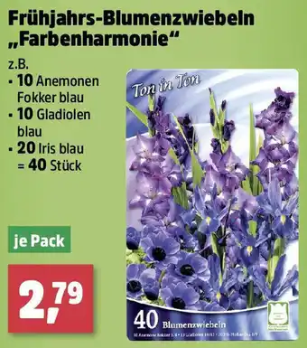 Thomas Philipps Frühjahrs-Blumenzwiebeln ,,Farbenharmonie Angebot