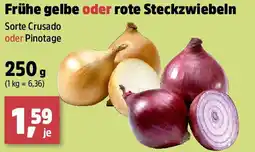 Thomas Philipps Frühe gelbe oder rote Steckzwiebeln Angebot