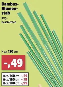 Thomas Philipps Bambus- Blumen- stab Angebot