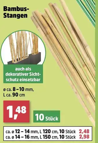 Thomas Philipps Bambus- Stangen Angebot