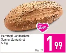 Sutterlüty Hammerl Landbäckerei Sonnenblumenbrot Angebot