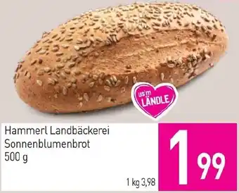 Sutterlüty Hammerl Landbäckerei Sonnenblumenbrot Angebot