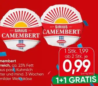 Spar Schärdinger Sirius Camembert Angebot