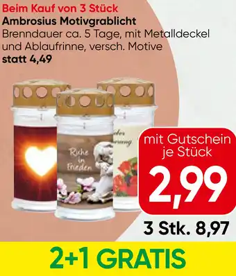 Spar Motivgrablicht Angebot