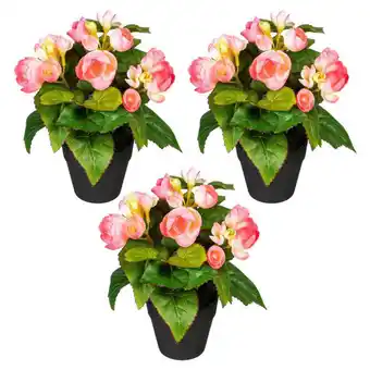 Möbelix Kunstpflanze Begonien inkl. Topf D: 8 cm Angebot