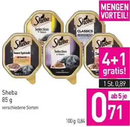 Sutterlüty Sheba Angebot