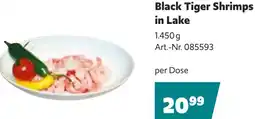 Eurogast Grissemann Shrimps Angebot