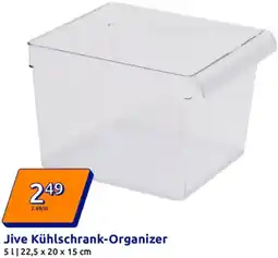 Action Kühlschrank-Organizer Angebot