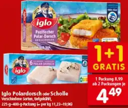 Interspar Polardorsch oder Scholle Angebot