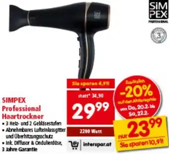 Interspar Professional Haartrockner Angebot