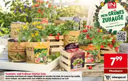 Interspar Tomaten- und Erdbeer-Starter-Sets Angebot