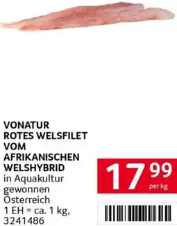 Transgourmet Rotes welsfilet vom afrikanischen welshybrid Angebot