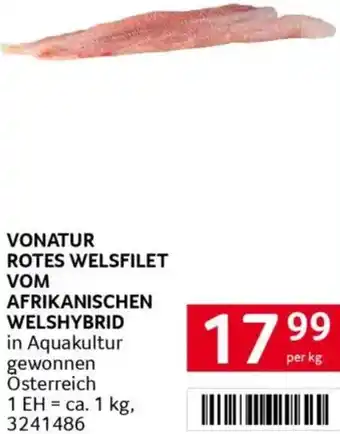 Transgourmet Rotes welsfilet vom afrikanischen welshybrid Angebot