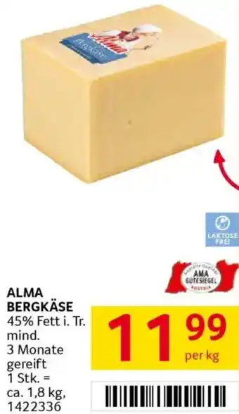 Transgourmet Bergkäse Angebot