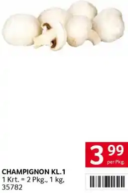 Transgourmet Champignon Angebot