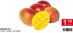 Transgourmet Mango Angebot