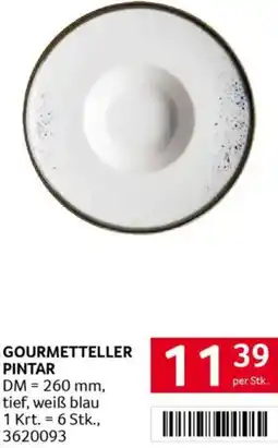 Transgourmet Gourmetteller pintar Angebot