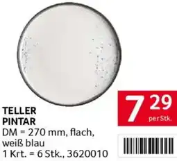 Transgourmet Teller pintar Angebot