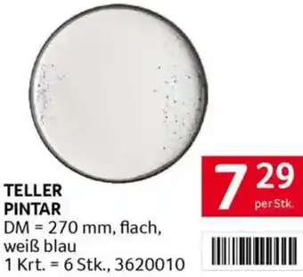 Transgourmet Teller pintar Angebot