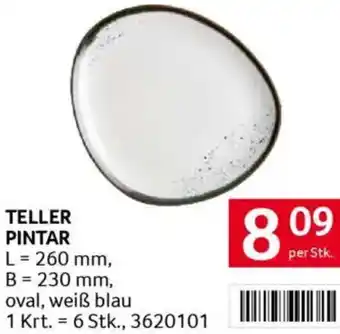 Transgourmet Teller pintar Angebot