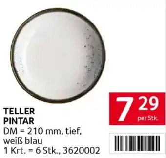 Transgourmet Teller pintar Angebot