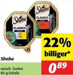 Nah&Frisch Sheba Angebot