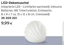 Tchibo Eduscho LED-Dekomuschel Angebot