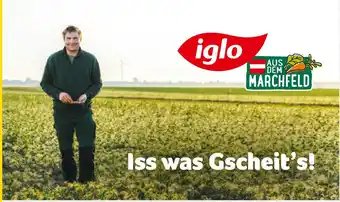 Billa iglo Angebot