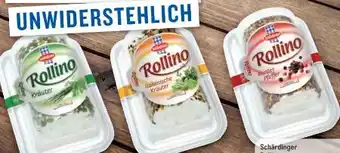 Metro Schärdinger Rollino Angebot