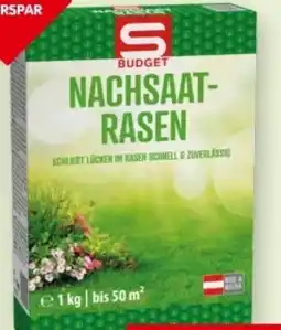 Interspar S Budget Nachsaat Rasen Angebot