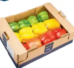 Metro Metro Chef Paprika Tricolore Angebot