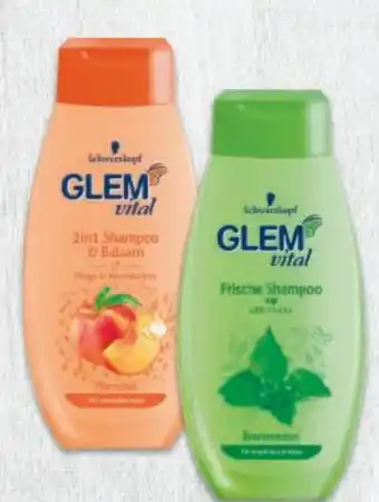 Metro Schwarzkopf Glem Vital Shampoo Angebot