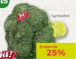 ADEG ja!natürlich Bio Brokkoli Angebot