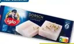 ADEG Iglo Dorsch Angebot