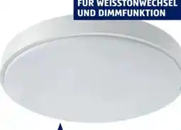 Hofer Casalux CCT-Deckenleuchte Remote Angebot