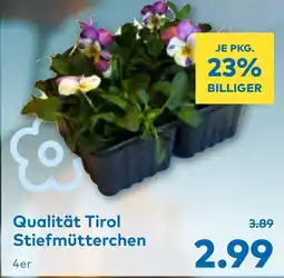 T&G Qualität Tirol Stiefmütterchen Angebot