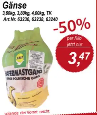 Nemetz Markt Gänse Angebot