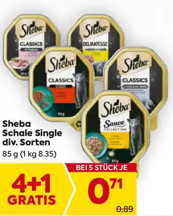 Billa Schale Single Angebot